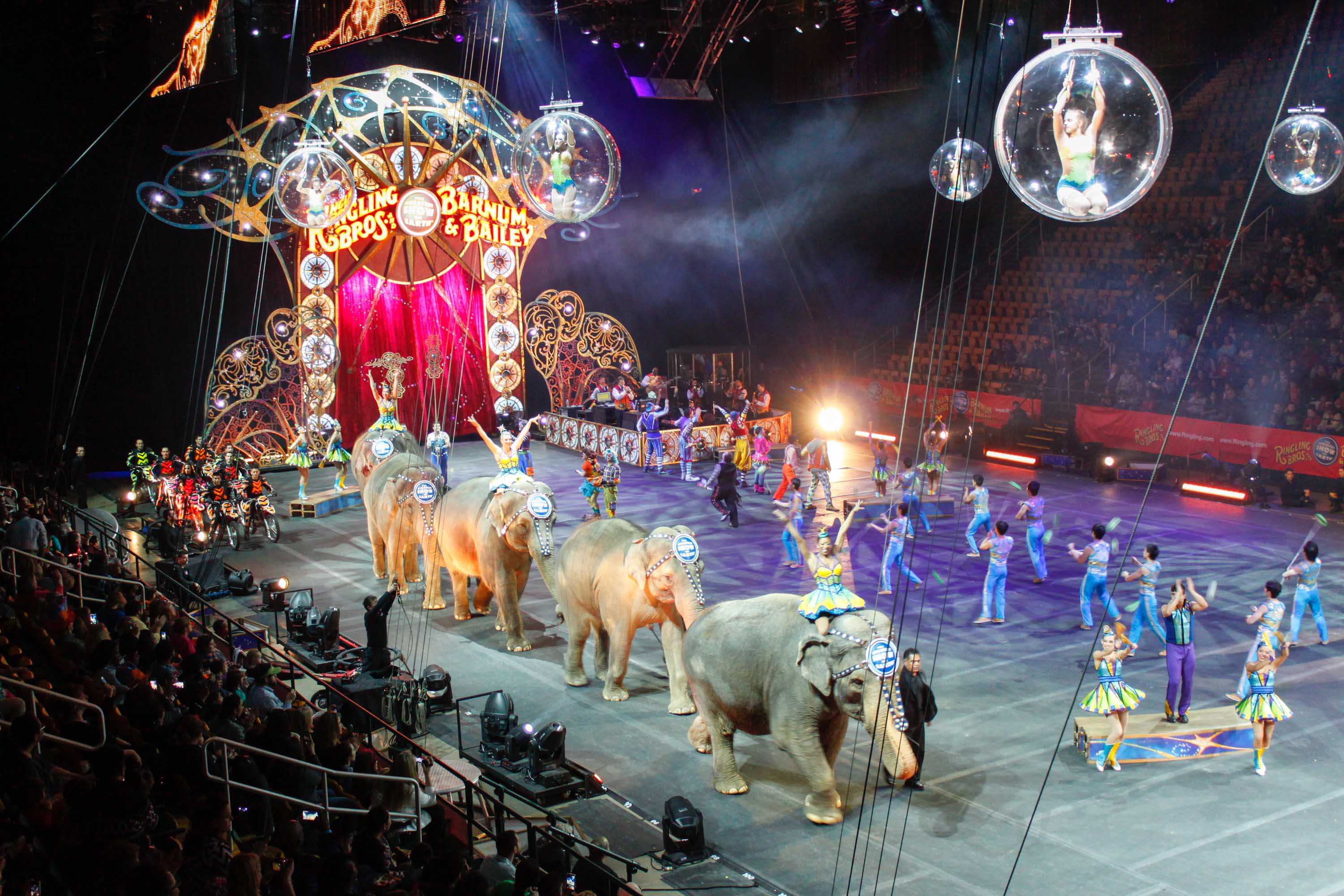 Circus at the Patriot Center 2015