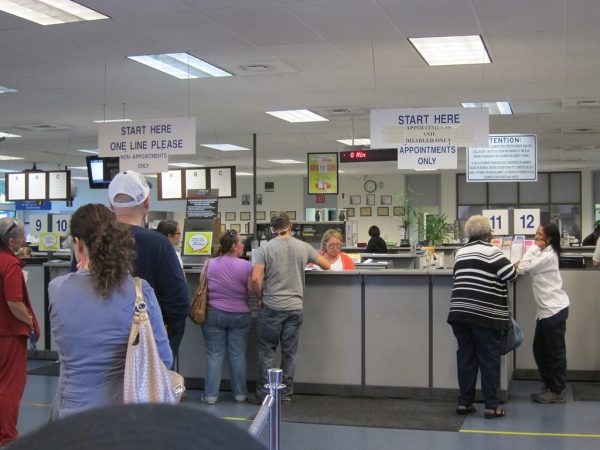 dmv now delivery status